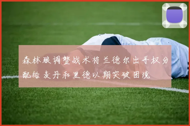 森林狼调整战术将兰德尔出手权分配给麦丹和里德以期突破困境