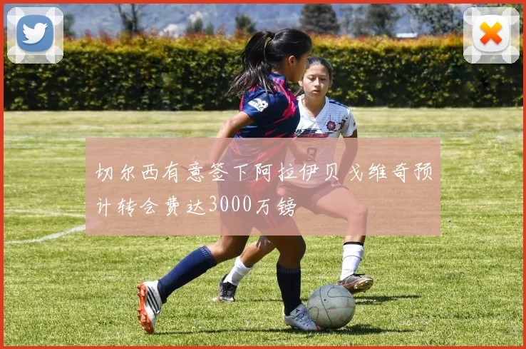 切尔西有意签下阿拉伊贝戈维奇预计转会费达3000万镑