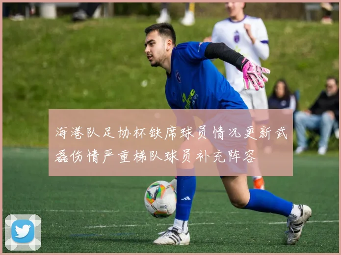 海港队足协杯缺席球员情况更新武磊伤情严重梯队球员补充阵容