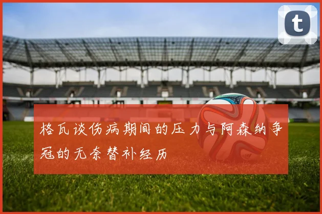 格瓦谈伤病期间的压力与阿森纳争冠的无奈替补经历