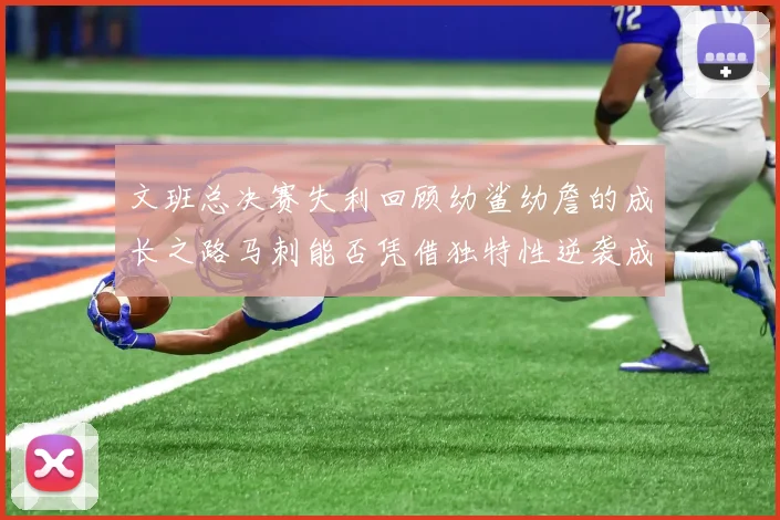 文班总决赛失利回顾幼鲨幼詹的成长之路马刺能否凭借独特性逆袭成功