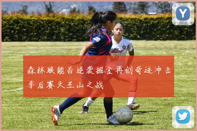森林狼能否逆袭掘金再创奇迹冲击季后赛天王山之战